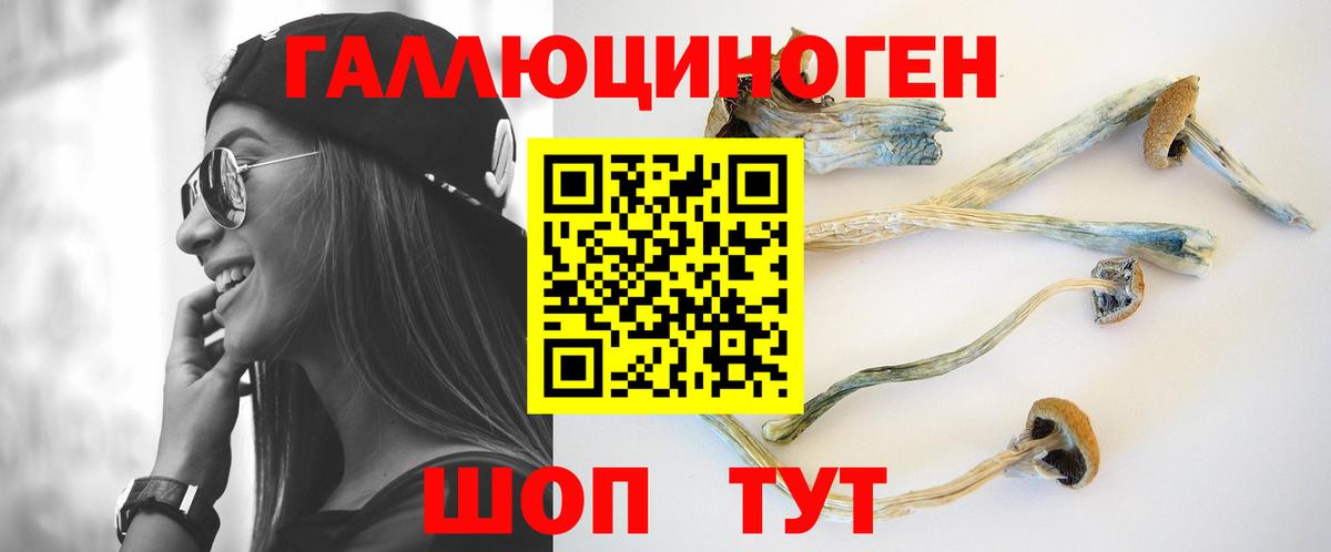 Галлюциногенные грибы Magic Shrooms  Галлюциногенные грибы Psilocybe  Хабаровск  Вход с VPN 